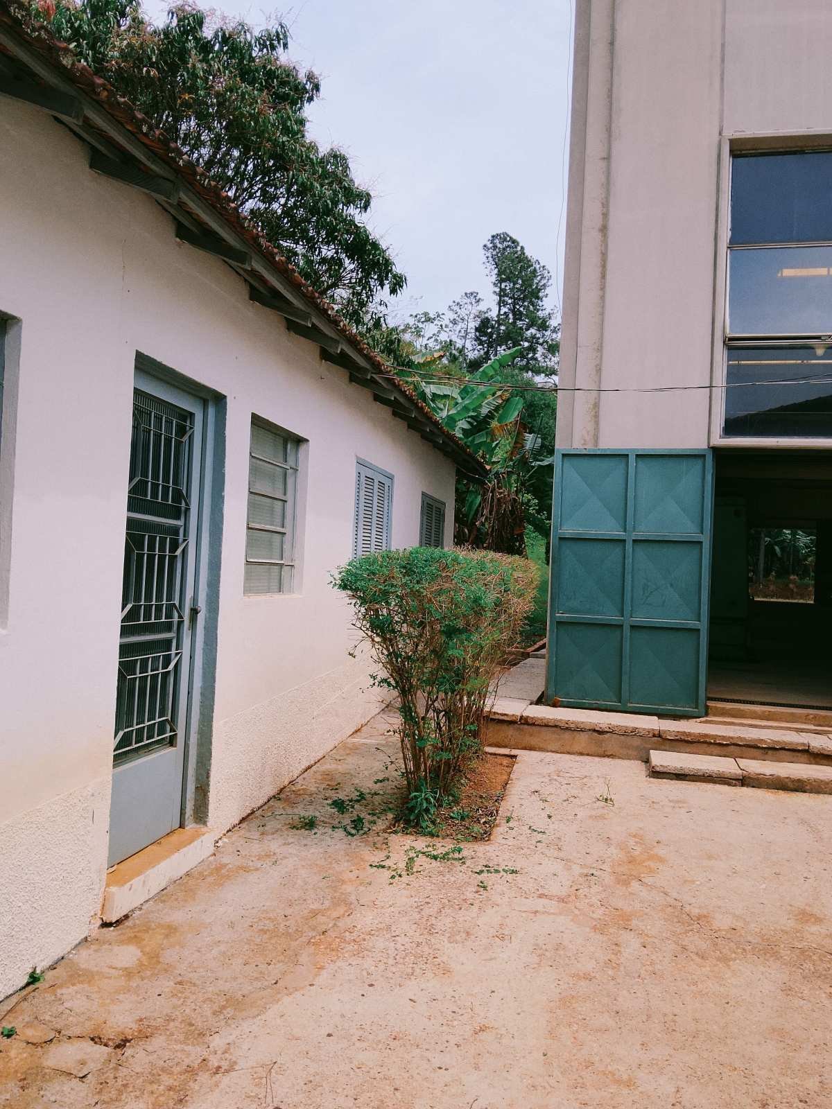 Galpão à venda, 3000m² - Chácara Maria Trindade,São Paulo