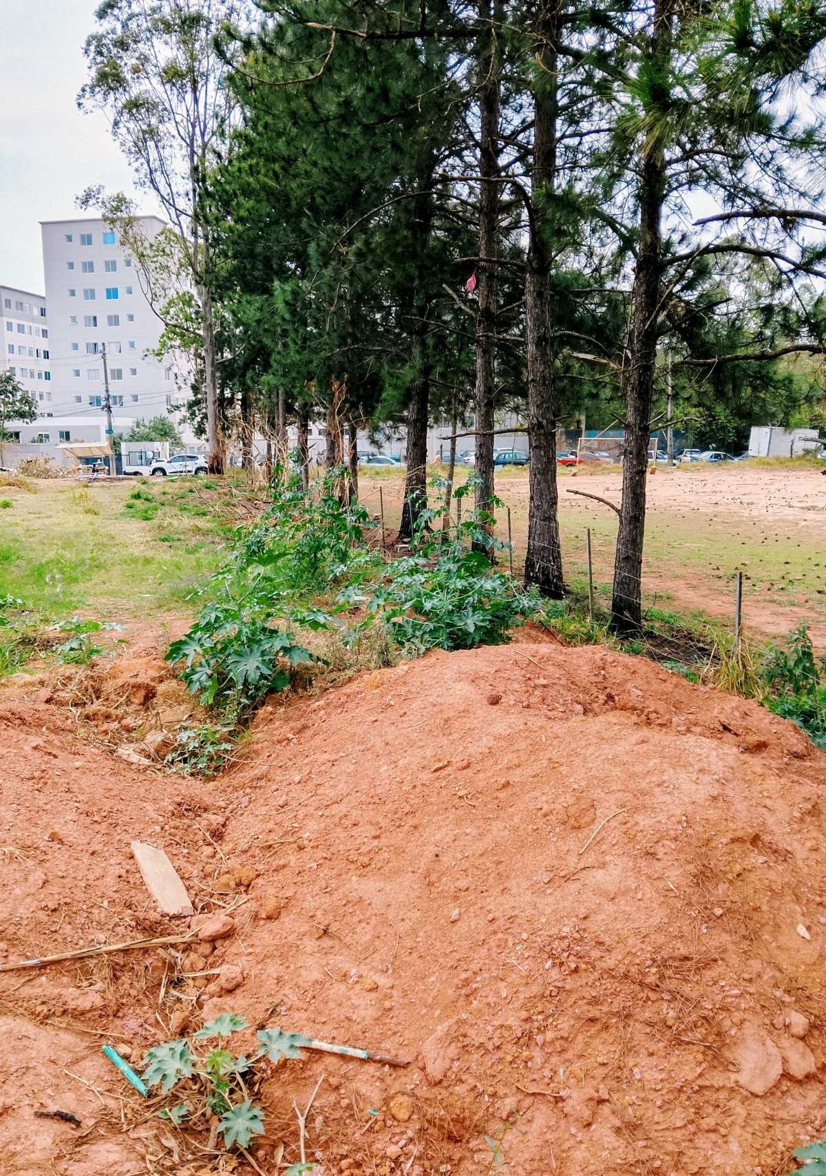 Área à venda, 6200m² - Chácara Maria Trindade,São Paulo