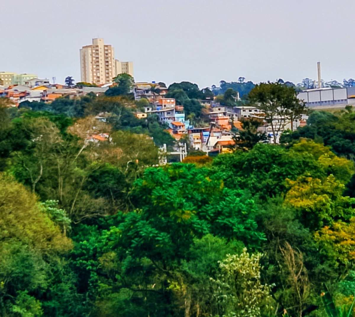 Área à venda, 80000m² - Polvilho (Polvilho),Cajamar