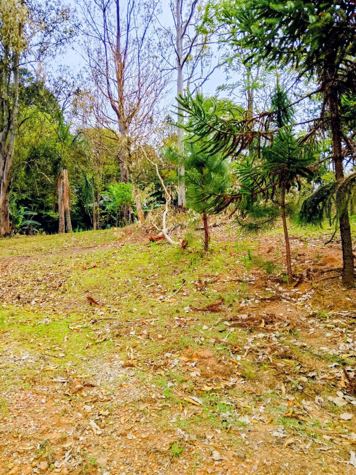 OPORTUNIDADE RARA PARA INVESTIDORES E CONSTRUTORAS – ÁREA 80.000 m2 NO KM 29 DA VIA ANHANGUERA - www.melhoresimoveisonline.com.br