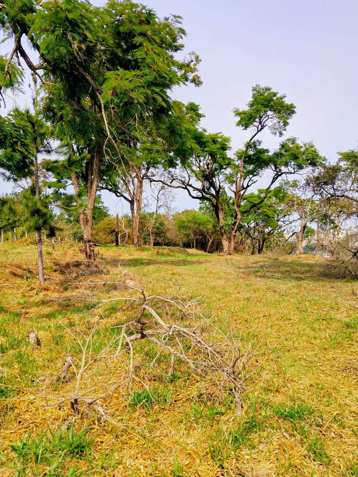 Área à venda, 17540m² - Polvilho (Polvilho),Cajamar