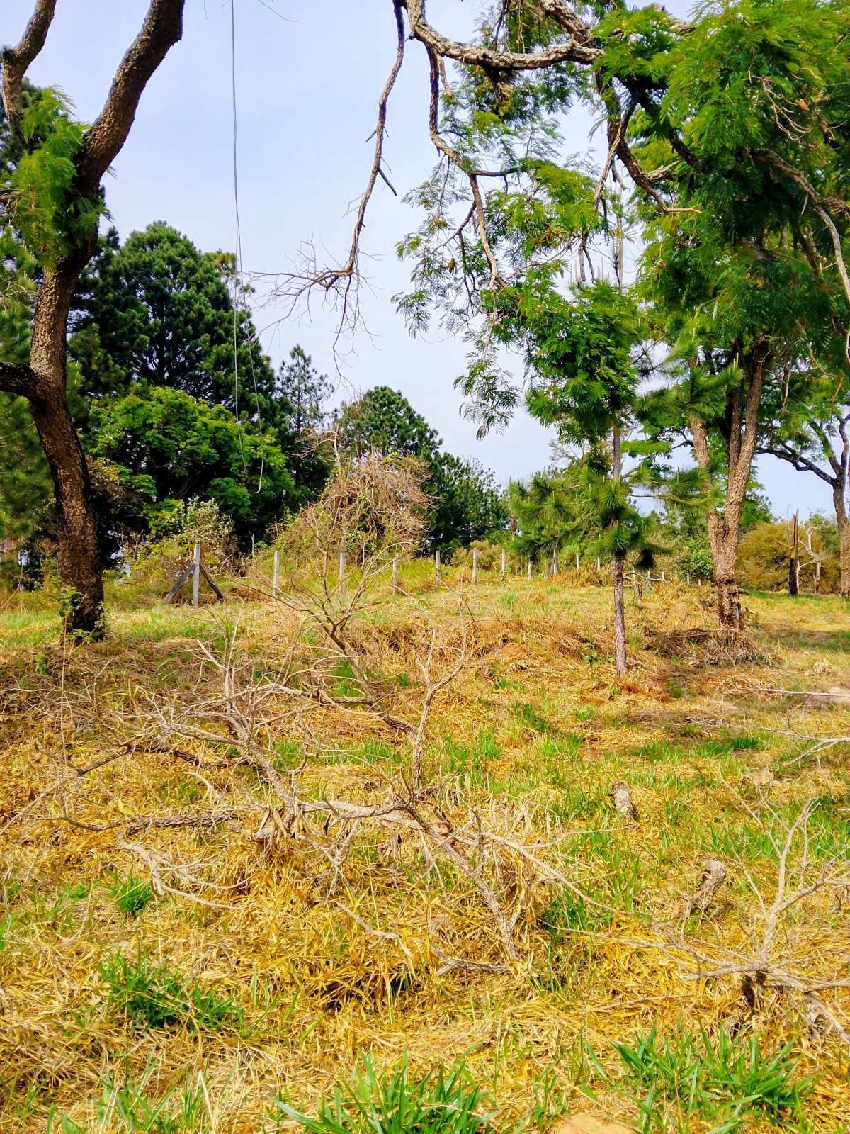 OPORTUNIDADE RARA PARA INVESTIDORES E CONSTRUTORAS – ÁREA ESTRATÉGICA NO KM 29 DA VIA ANHANGUERA - www.melhoresimoveisonline.com.br