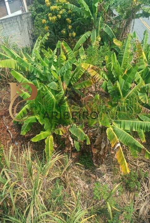 Terreno, 250 m² - Foto 5