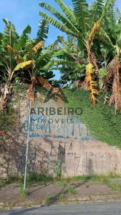 Terreno, 250 m² - Foto 8