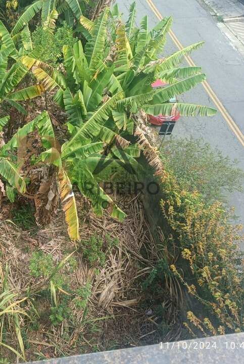 Terreno, 250 m² - Foto 9