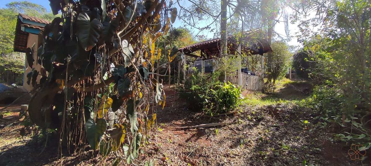 Chácara à venda com 4 quartos, 200m² - Foto 13