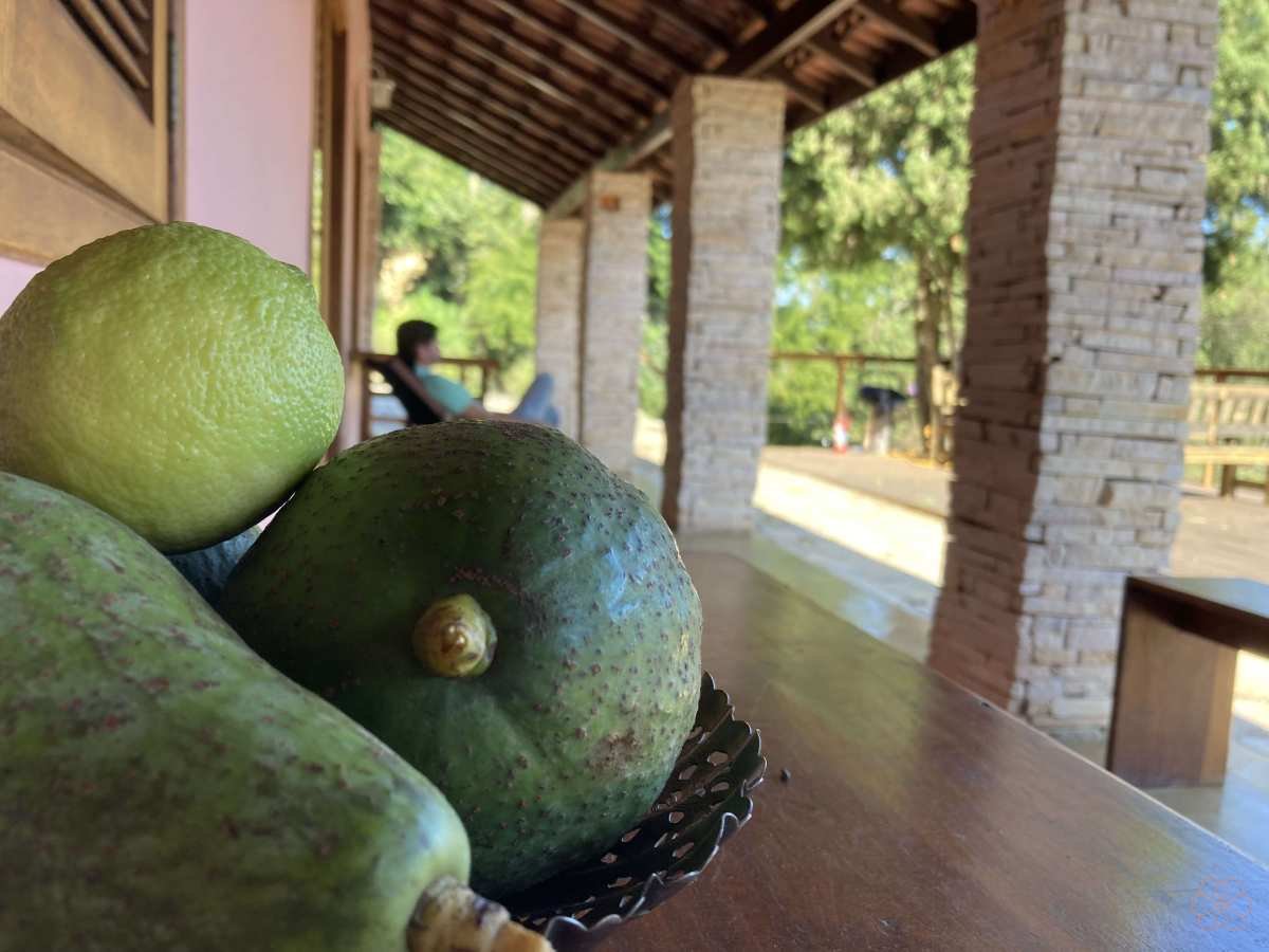 Chácara à venda e aluguel com 5 quartos, 246m² - Foto 33