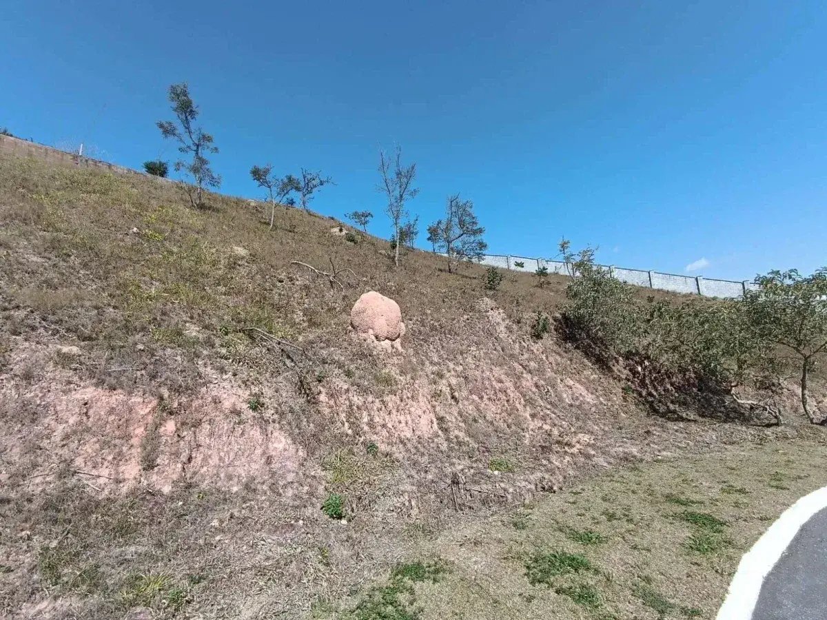 Lote em Condomínio à venda - Colônia Rodrigo Silva,Barbacena