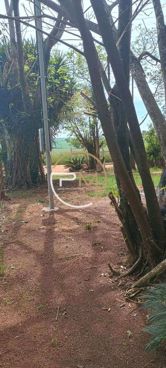 Chácara à venda em Santa Bárbara do Sul, São Manoel, com 3 quartos, 1000m²