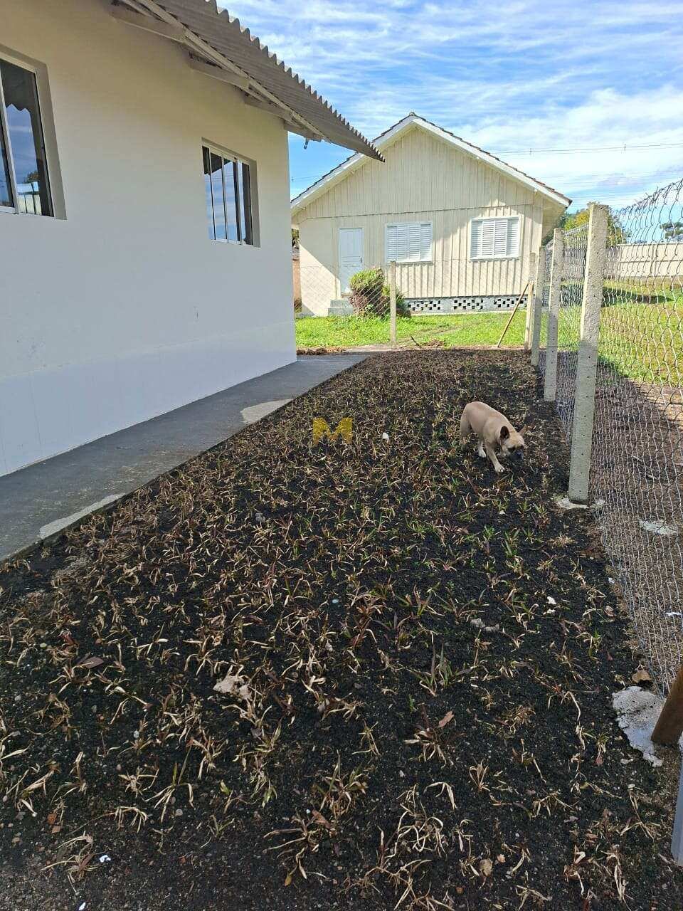 Casa para alugar com 2 quartos - Foto 6