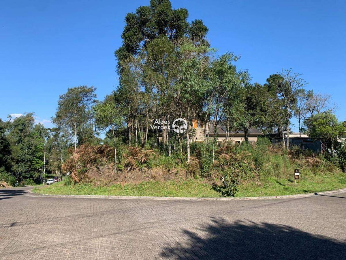 Terreno à venda - Foto 1