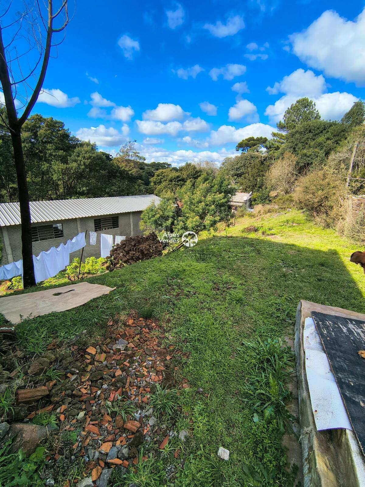 Depósito-Galpão-Armazém à venda - Foto 2
