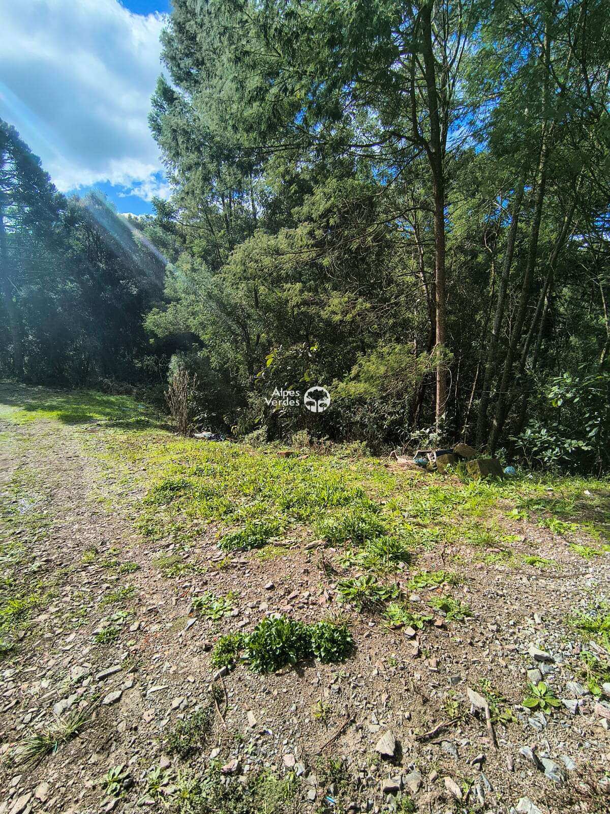 Depósito-Galpão-Armazém à venda - Foto 5