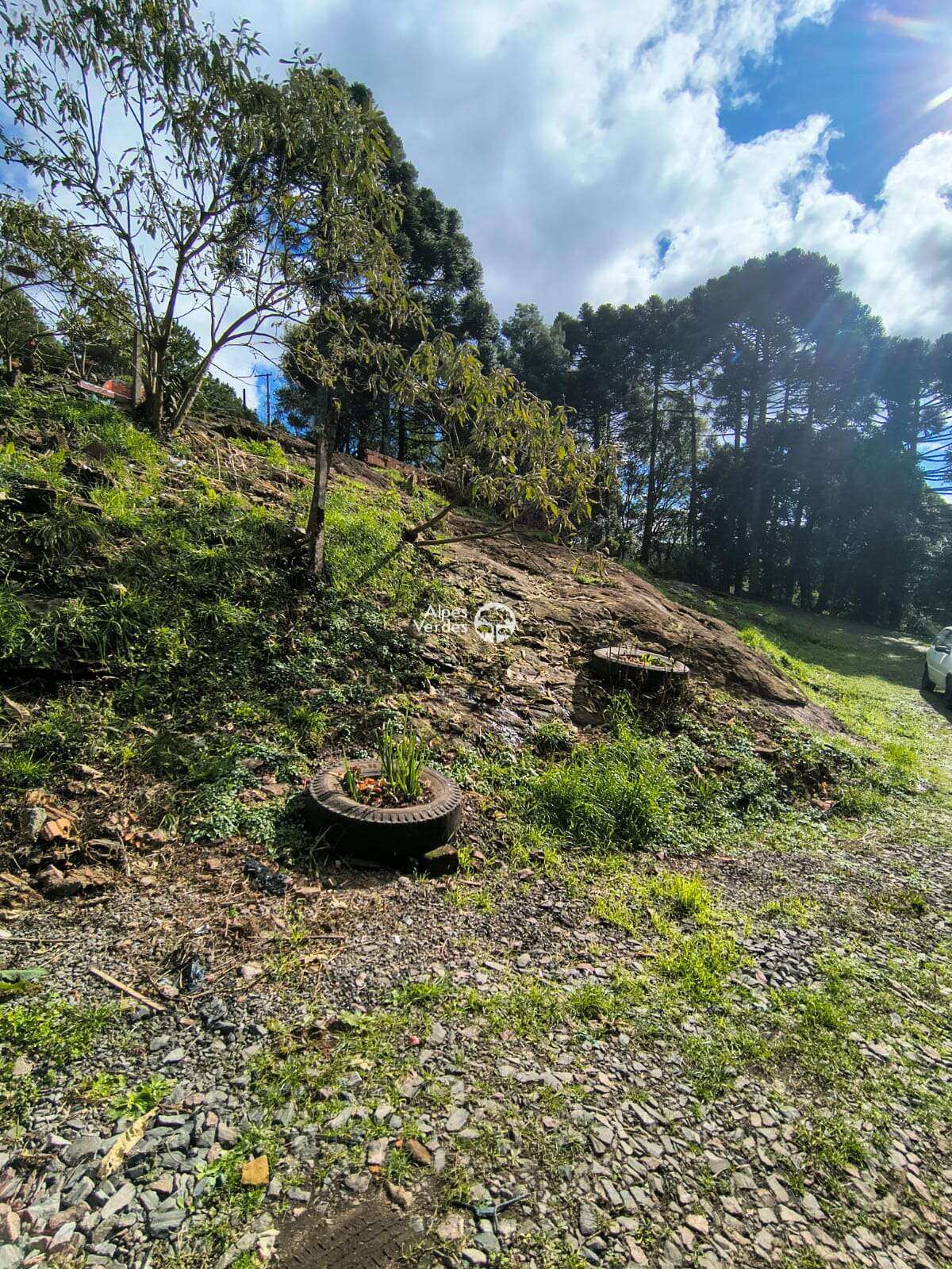 Depósito-Galpão-Armazém à venda - Foto 3